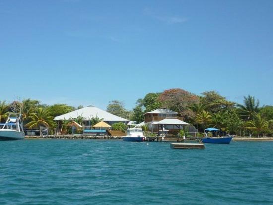 Wikkid Resort Dixon Cove ภายนอก รูปภาพ