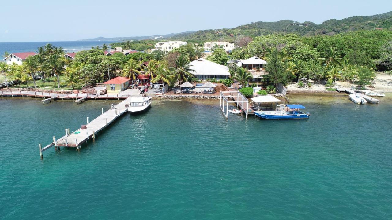 Wikkid Resort Dixon Cove ภายนอก รูปภาพ