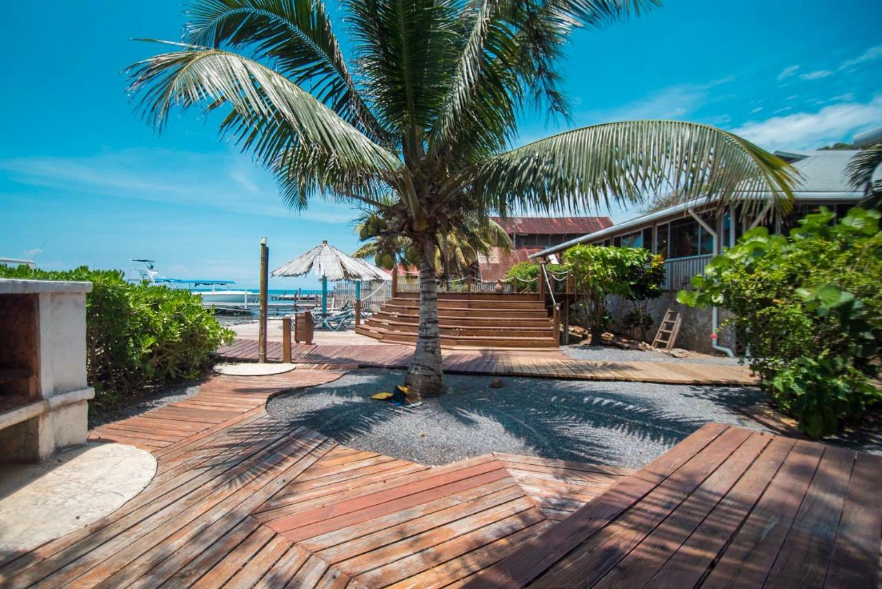 Wikkid Resort Dixon Cove ภายนอก รูปภาพ